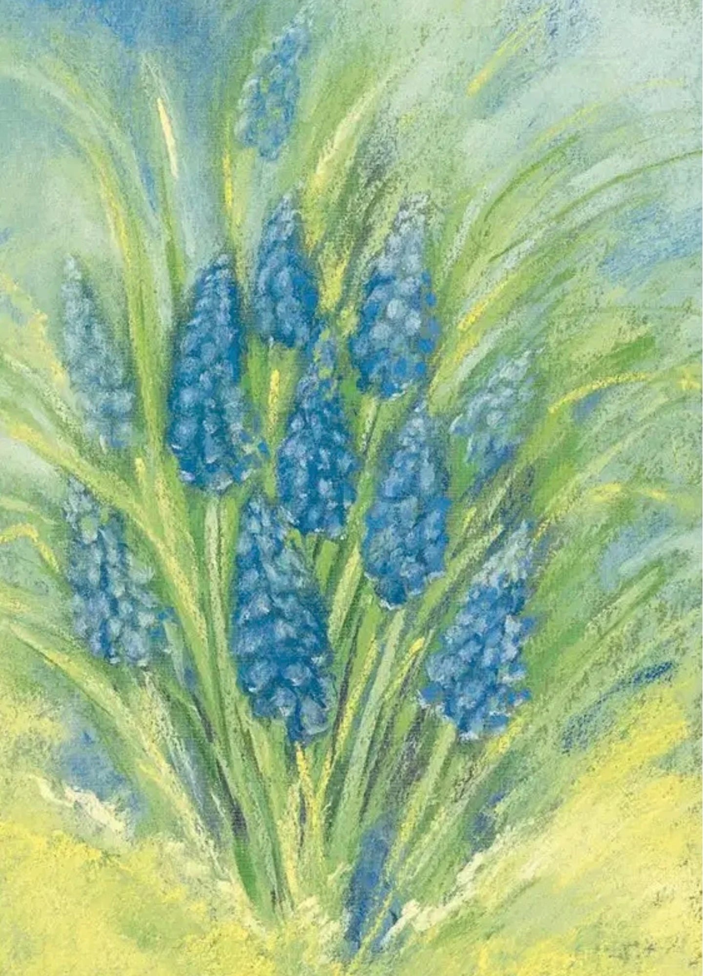 Marjan van Zeyl Grape Hyacinth - Alder & Alouette