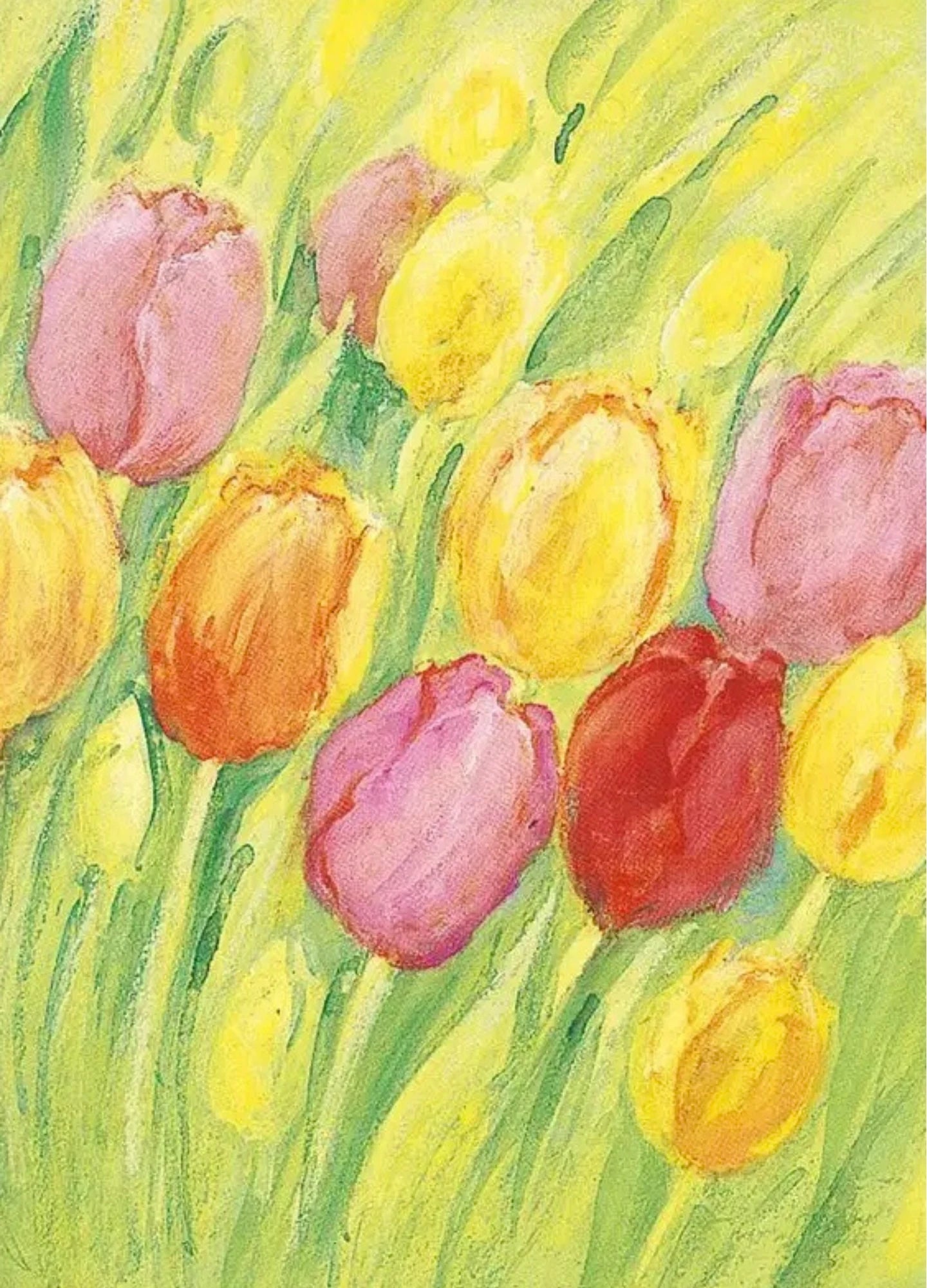 Marjan van Zeyl Postcards, Tulips - Alder & Alouette