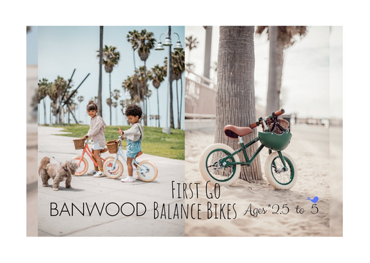 BANWOOD Balance Bike - First Go Bike