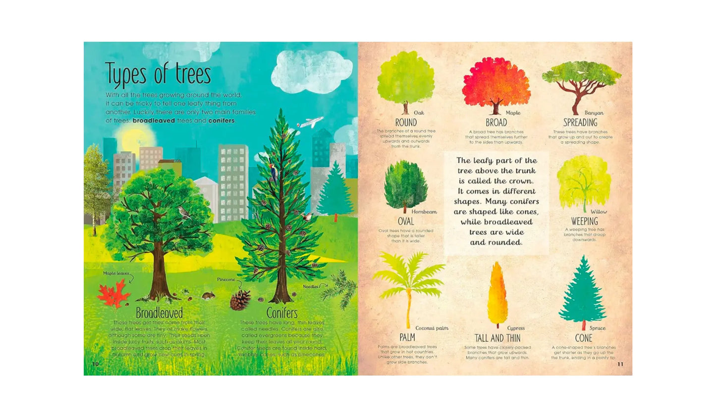 The Magic and Mystery of Trees - A Natural Science Book for Kids - Alder & Alouette