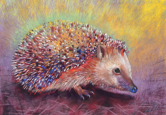 Radiate ( Hedgehog) | Loes Botman
