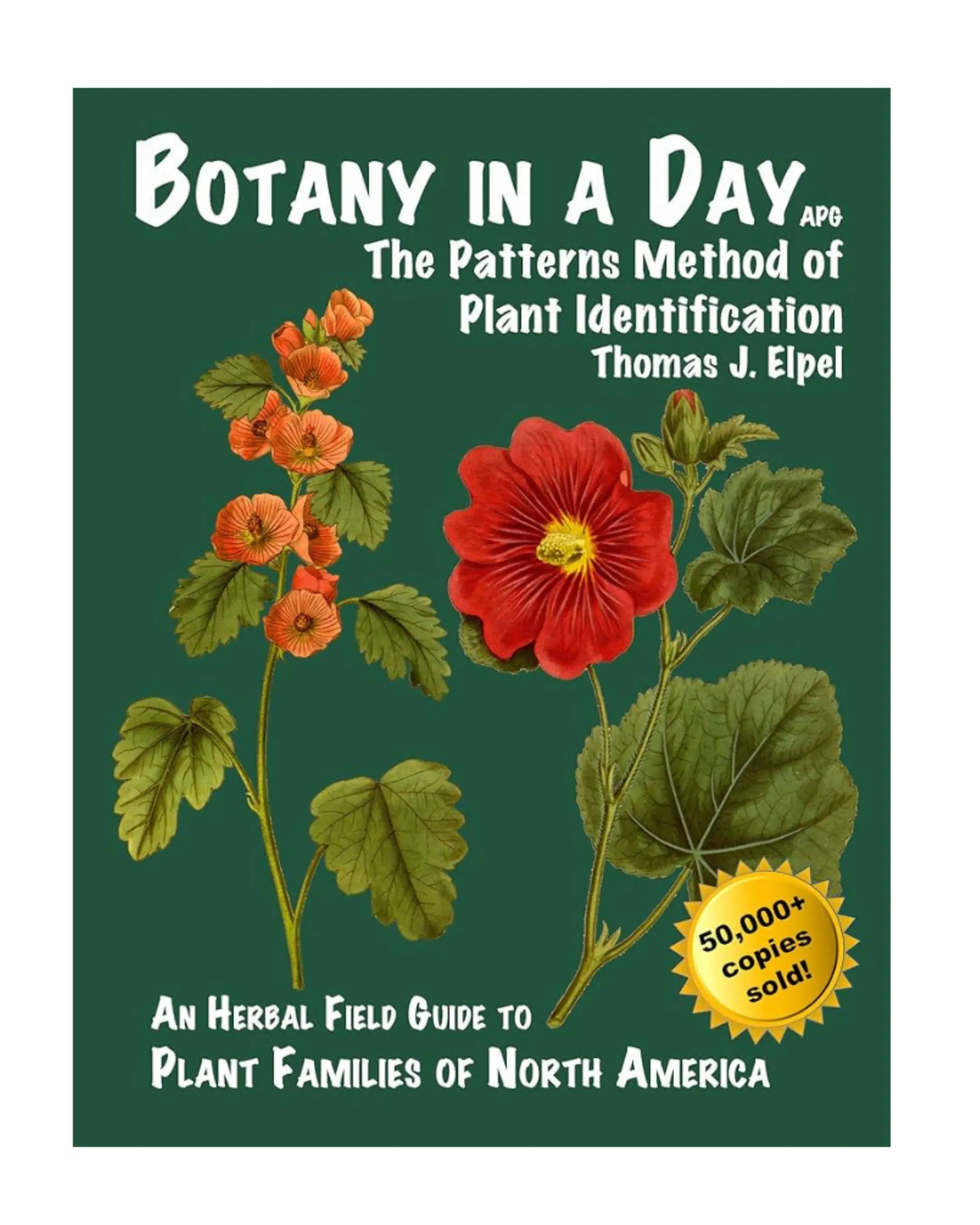 Botany in a Day - Alder & Alouette