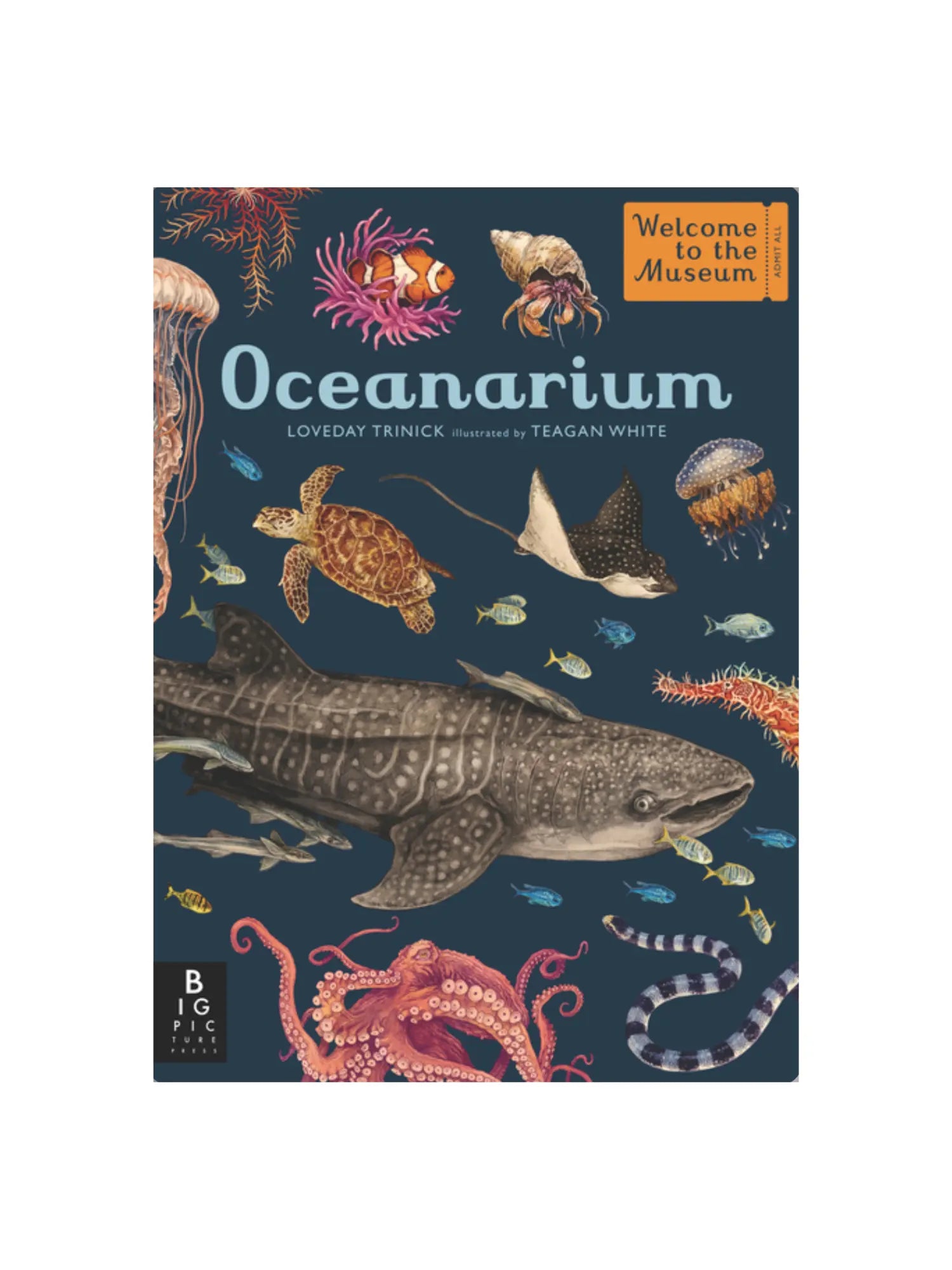 Oceanarium - Welcome to the Museum - Alder & Alouette