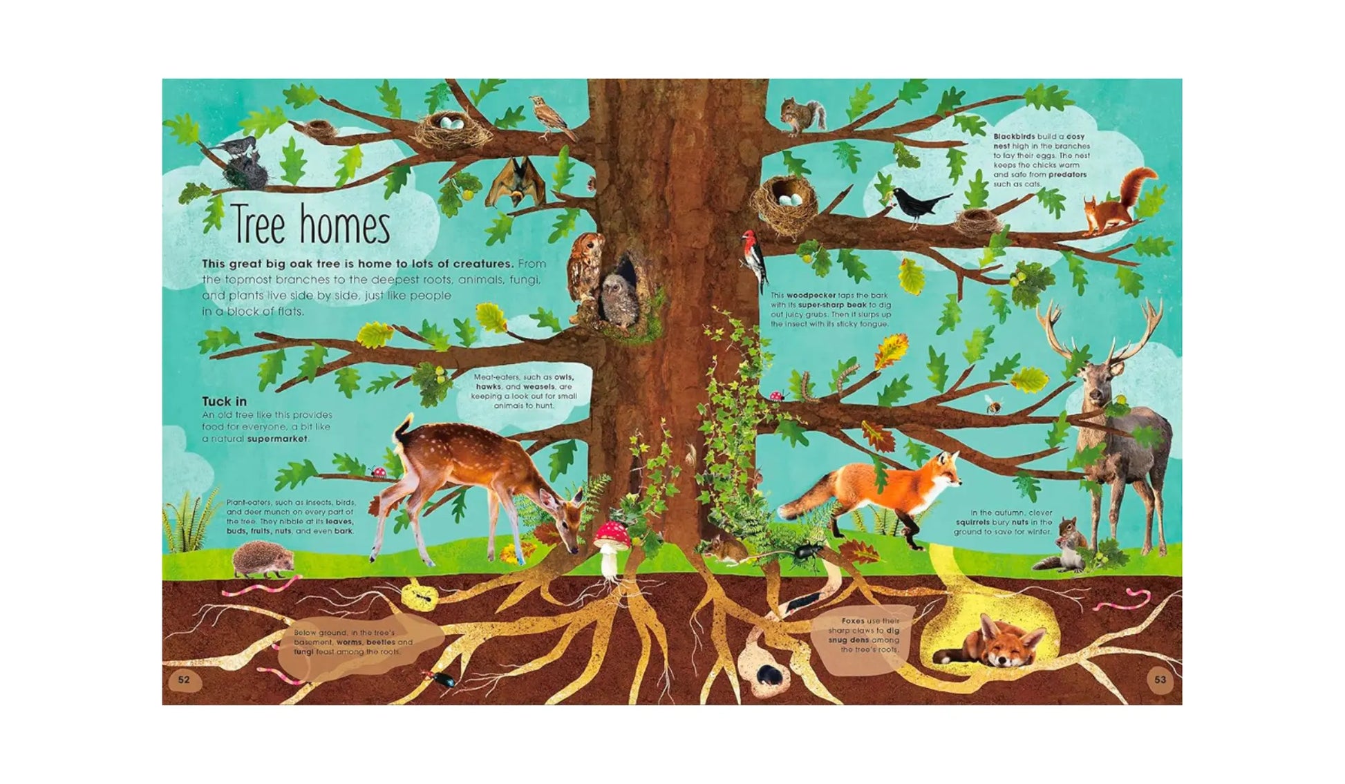 The Magic and Mystery of Trees - A Natural Science Book for Kids - Alder & Alouette