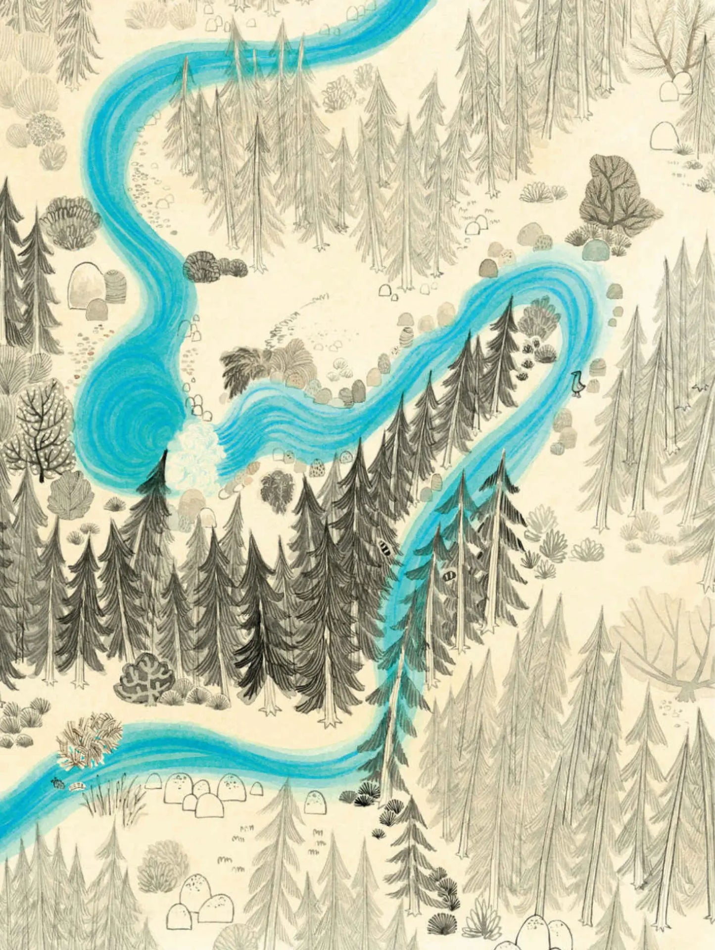 Bear Came Along – A Joyful Caldecott-Honor Book - Alder & Alouette