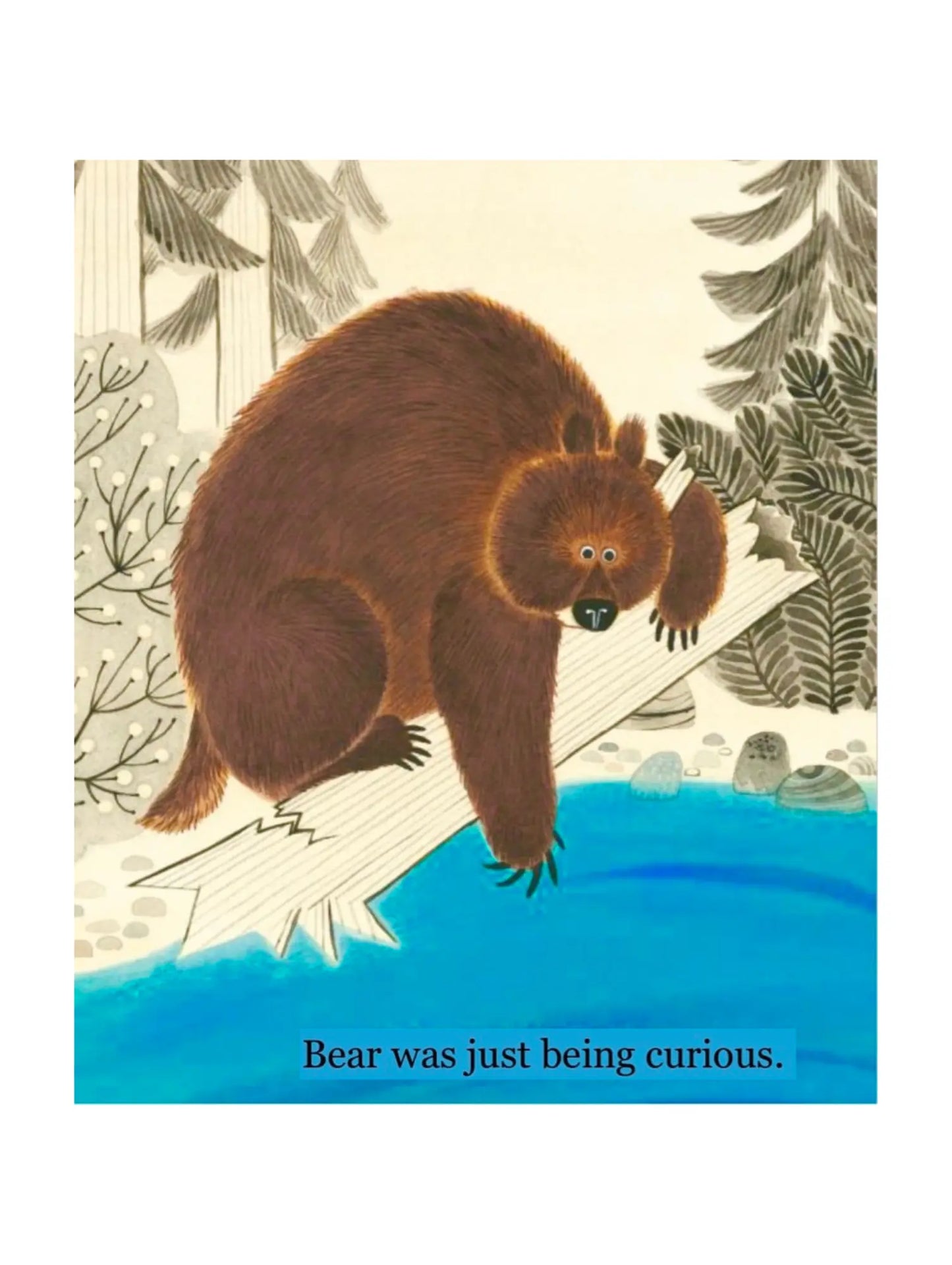 Bear Came Along – A Joyful Caldecott-Honor Book - Alder & Alouette