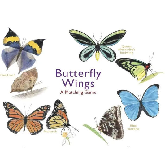 Butterfly Wings | Matching Game