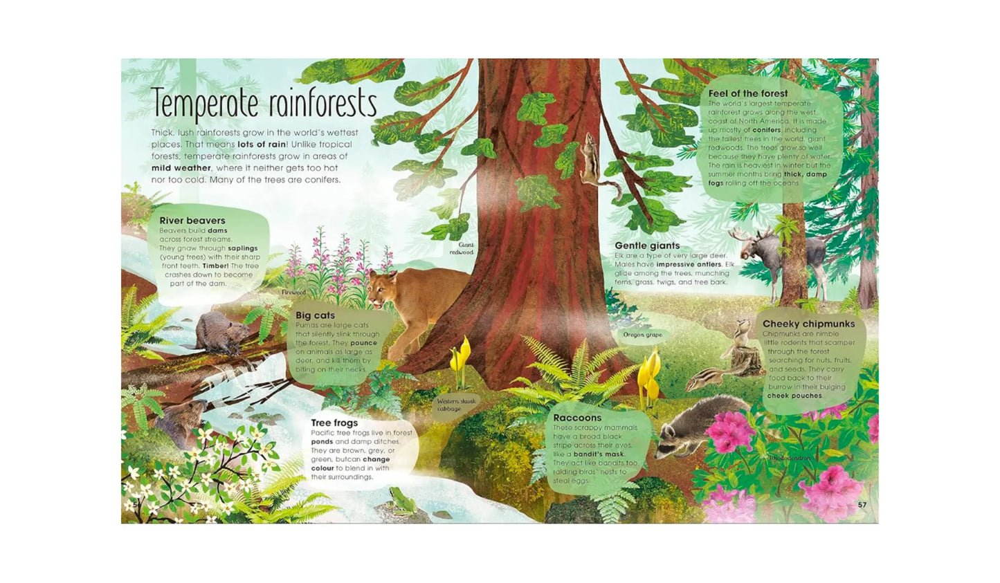 The Magic and Mystery of Trees - A Natural Science Book for Kids - Alder & Alouette