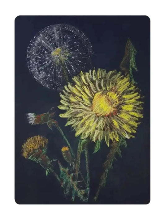 Dandelions by Geertje Kapteijns
