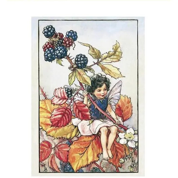 The Blackberry Flower Fairy | Fairy Postcard - Alder & Alouette