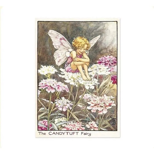The Candytuft Flower Fairy | Fairy Postcard - Alder & Alouette