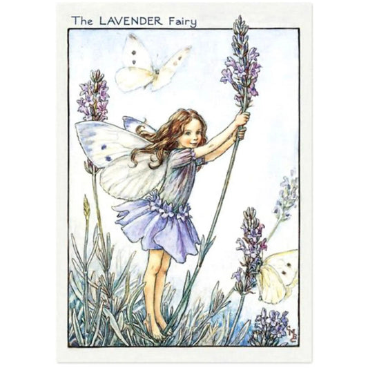 The Lavender Fairy | Flower Fairy Postcards - Alder & Alouette