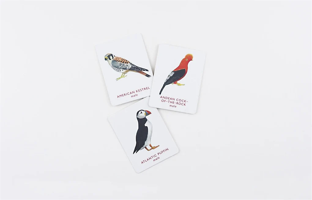 Match a Pair of Birds Memory Game - Alder & Alouette