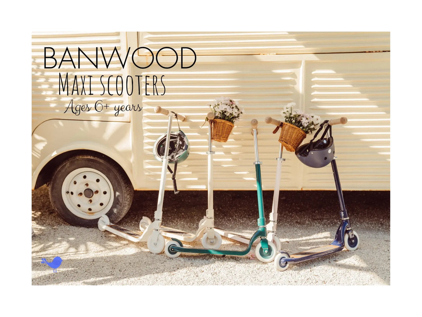 Banwood Maxi Scooters in front of a bus for kids ages 6 years and older
