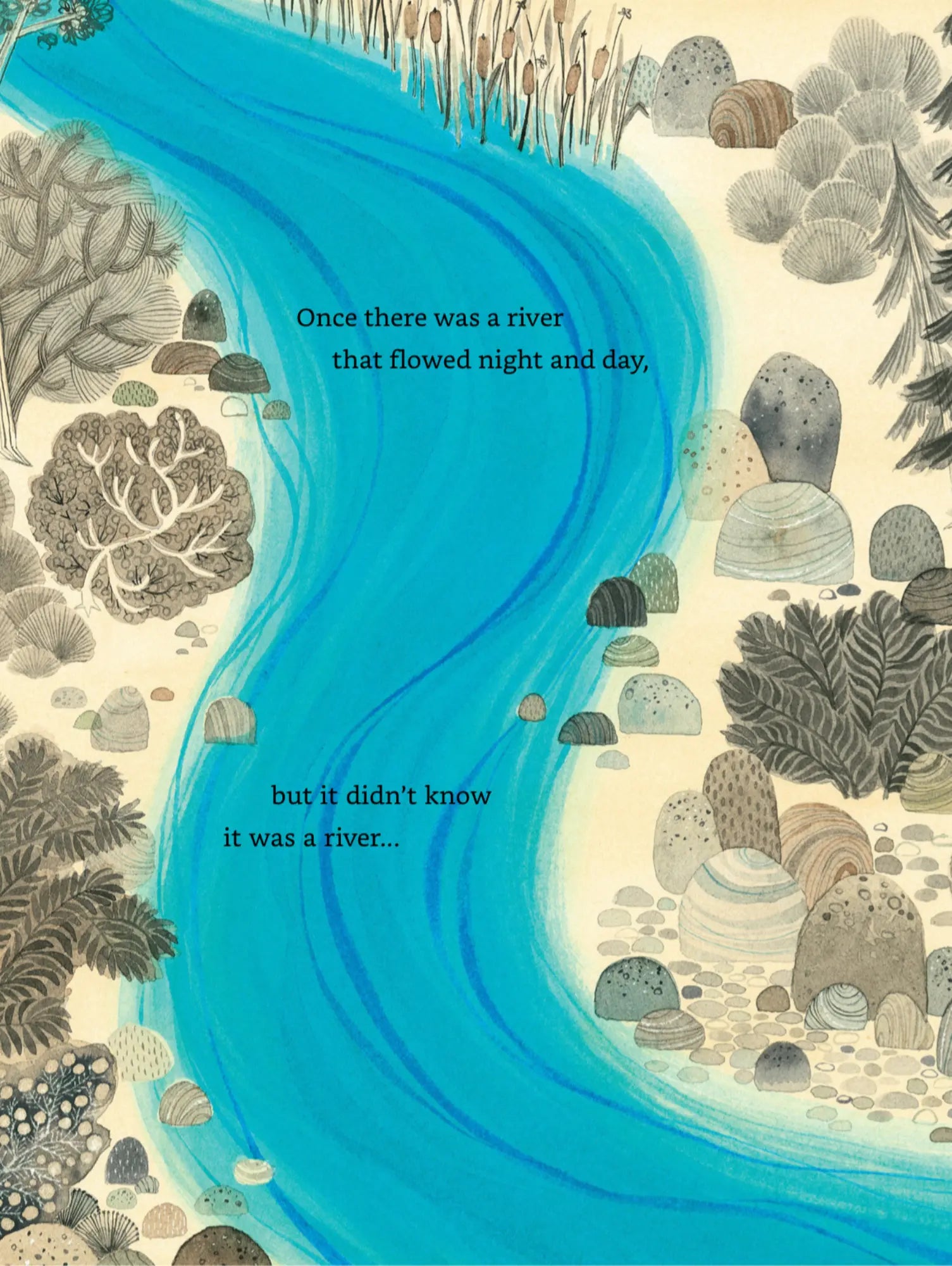 Bear Came Along – A Joyful Caldecott-Honor Book - Alder & Alouette