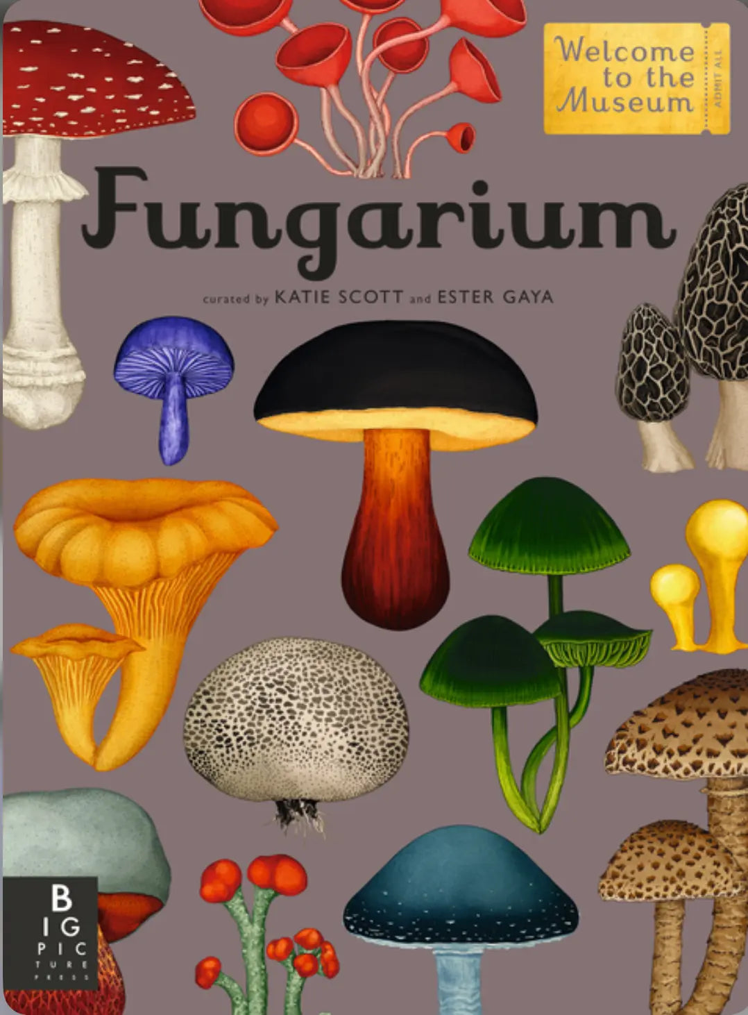 Fungarium - Welcome to the Museum - Alder & Alouette