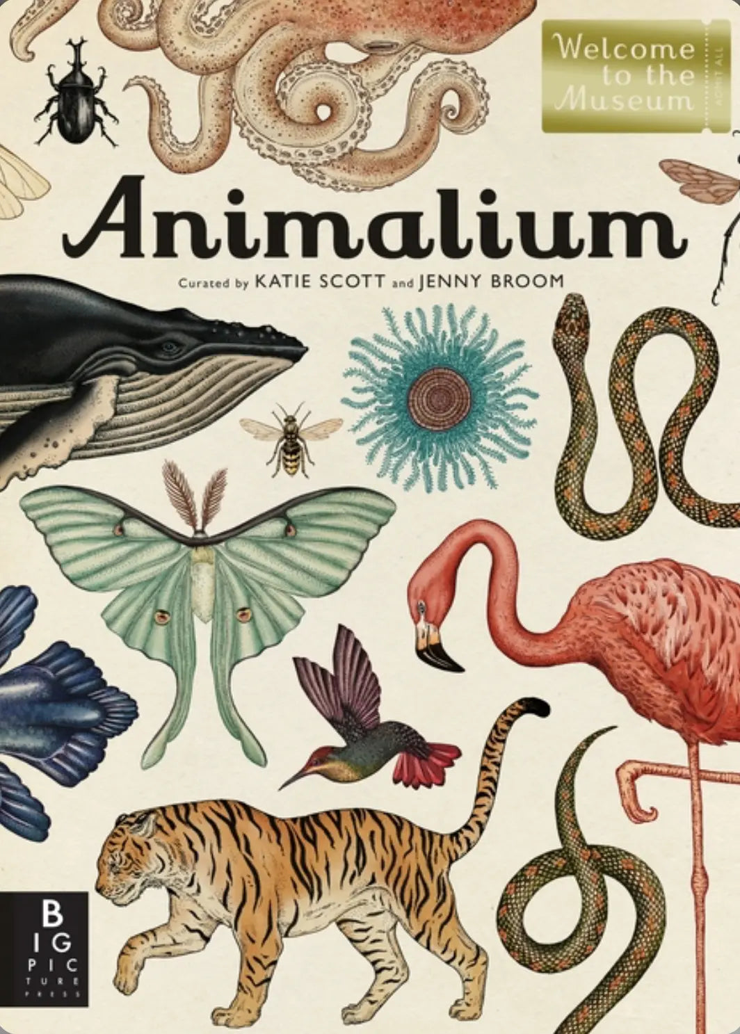 Animalium - Welcome to the Museum - Alder & Alouette