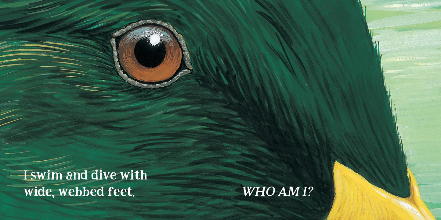 Eye Guess: A Forest Animal Guessing Game Book by Phyllis Limbacher Tildes - Alder & Alouette