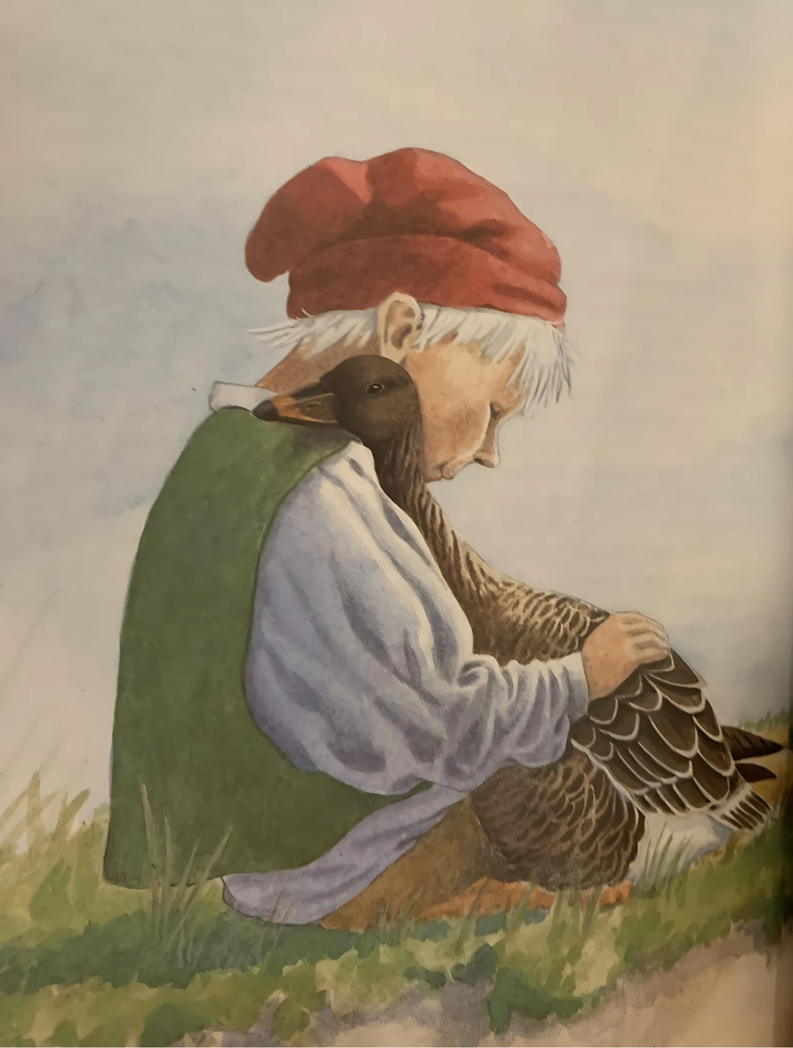 The Wonderful Adventist of Nils by Selma Lagerlof - Beautifully Illustrated - Alder & Alouette