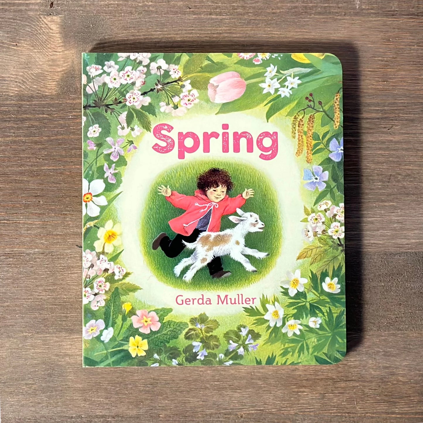 Spring by Gerda Muller - A Beautiful Picture Book - Alder & Alouette