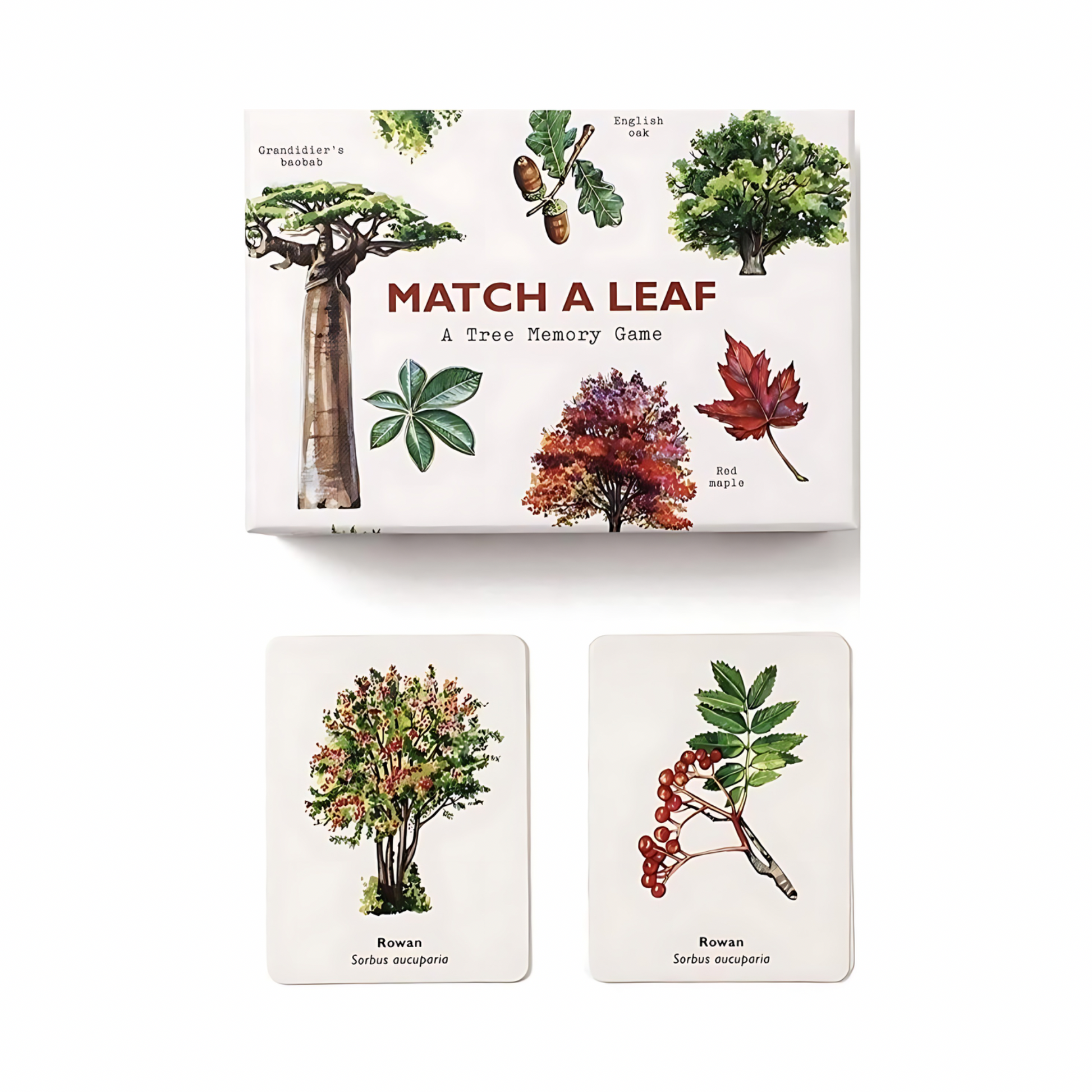 Match a Leaf Memory Game - Alder & Alouette