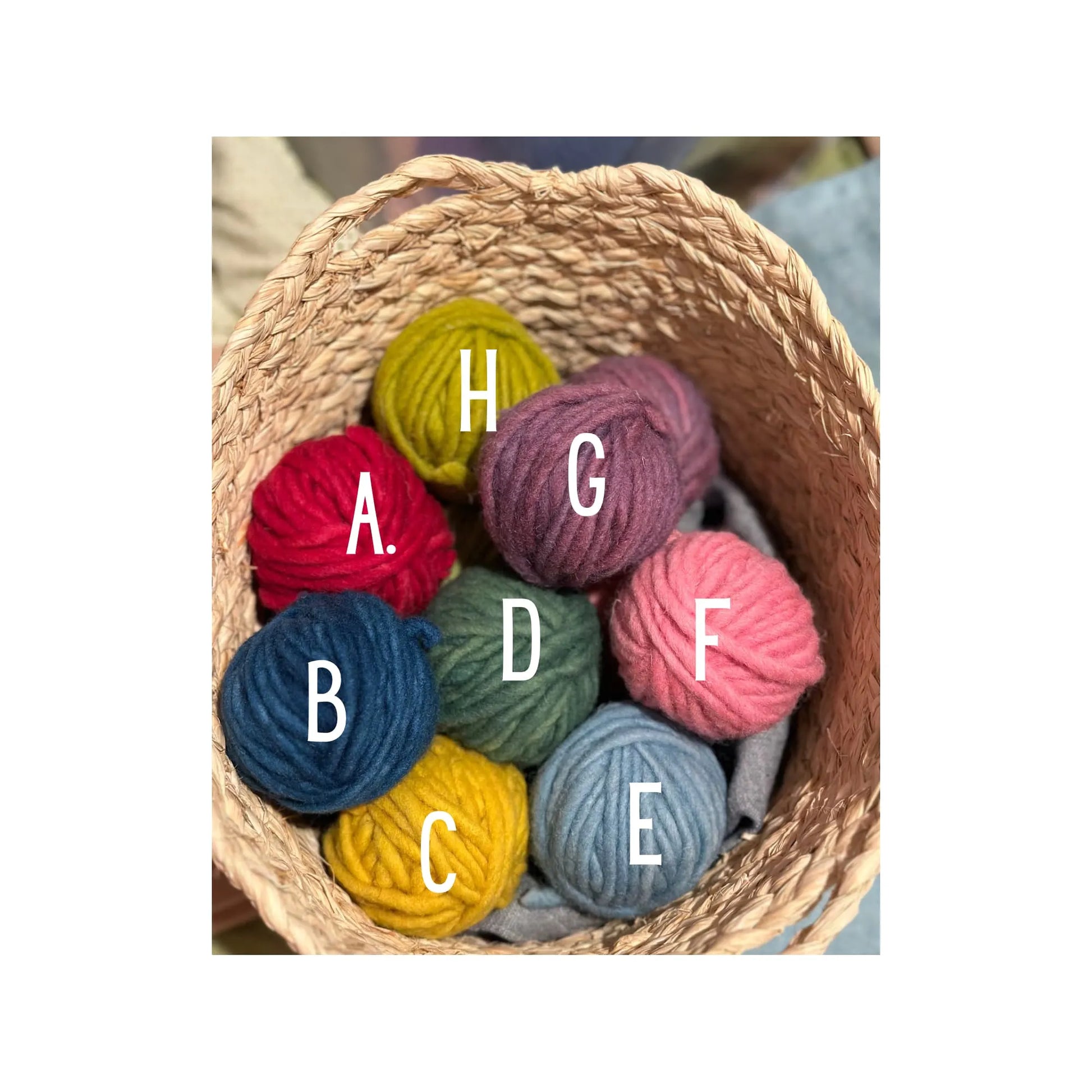 Wool Yarn, 100% Pure Filges, 4 Colors Per Set - Alder & Alouette