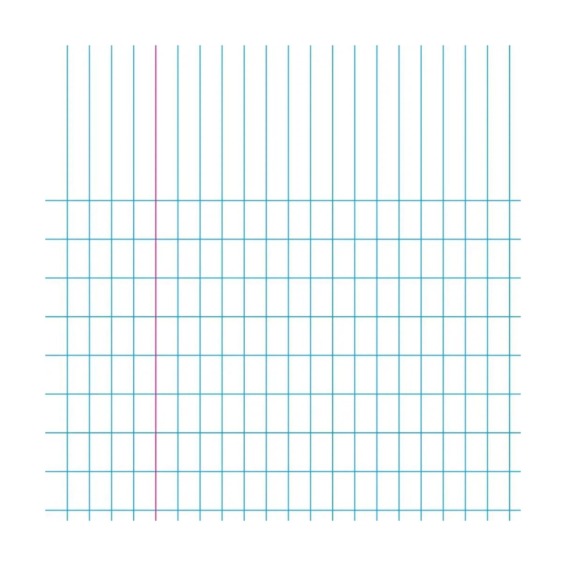 Accounting Graph Paper Exercise Book - Alder & Alouette