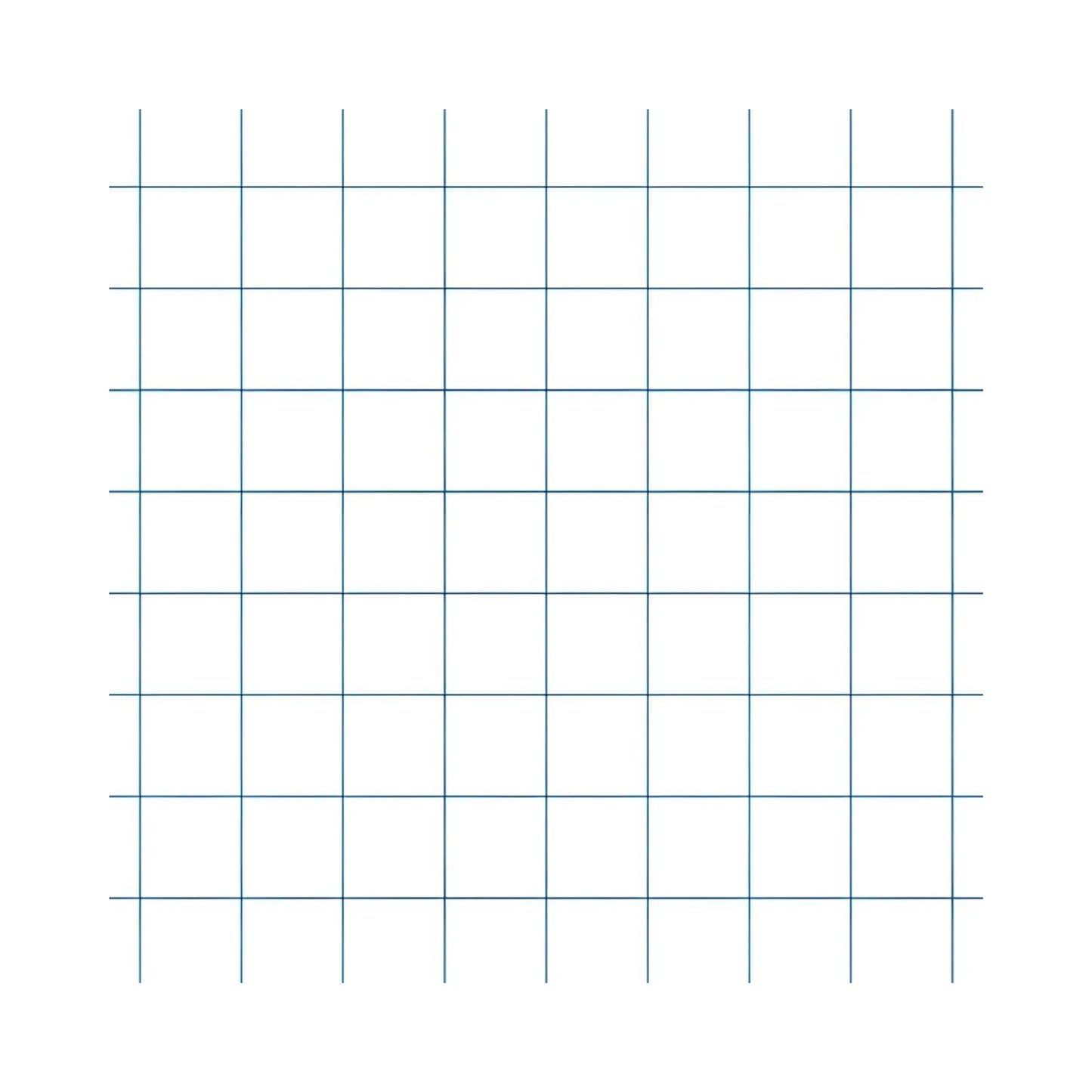 Graph Paper, Large 10x10 Squares - Alder & Alouette
