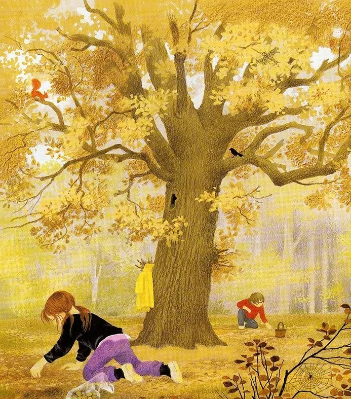 Autumn Board Book by Gerda Muller - Alder & Alouette