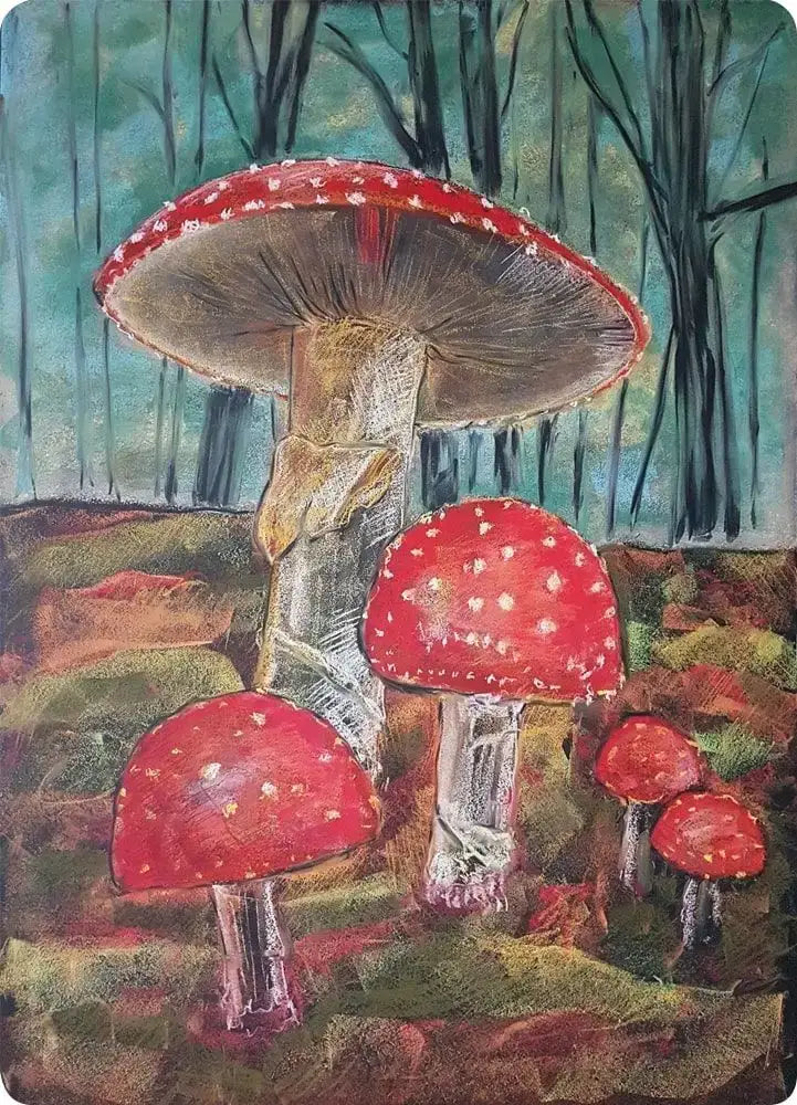 Mushroom Card by Geertje Kapteijns - Alder & Alouette