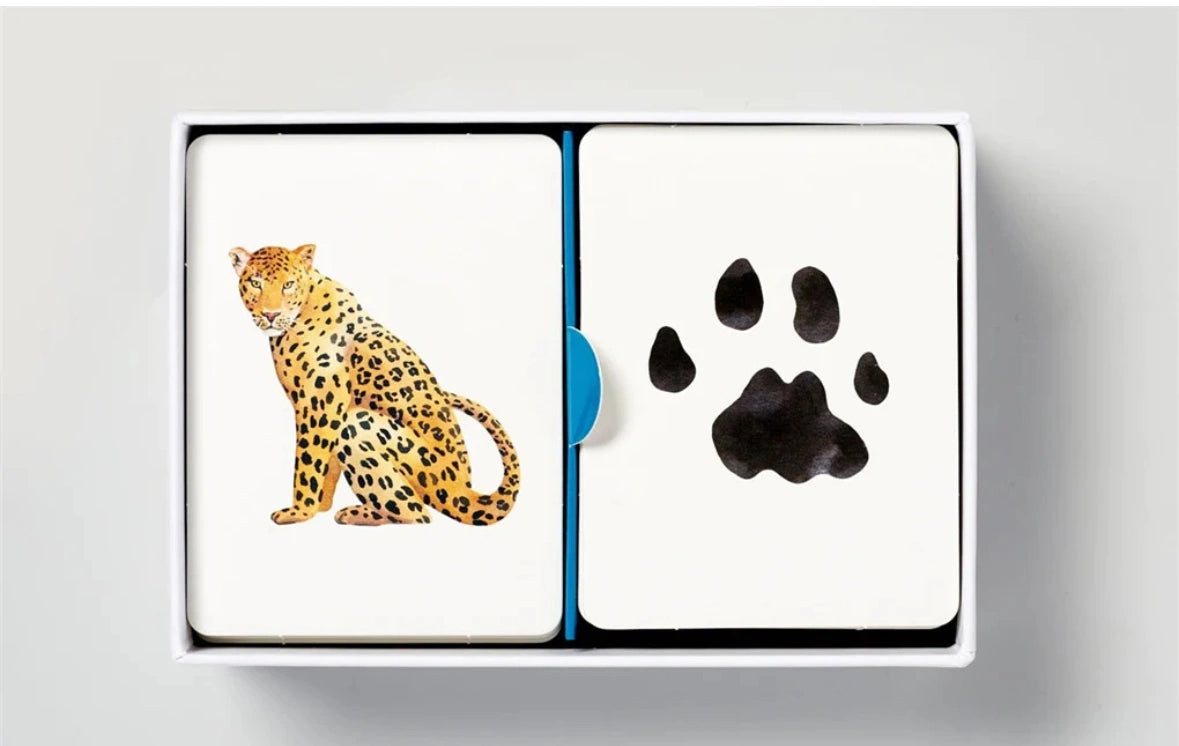 Match A Track Includes Beautiful Illustrations of Global Animals