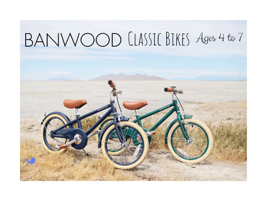 Blue and Green Banwood Classic Bikes on a Beach