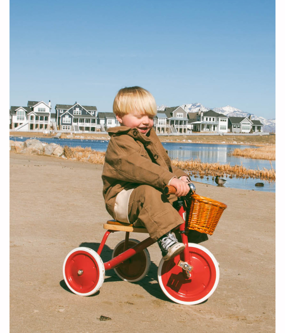 BANWOOD Trike in Multiple Colors