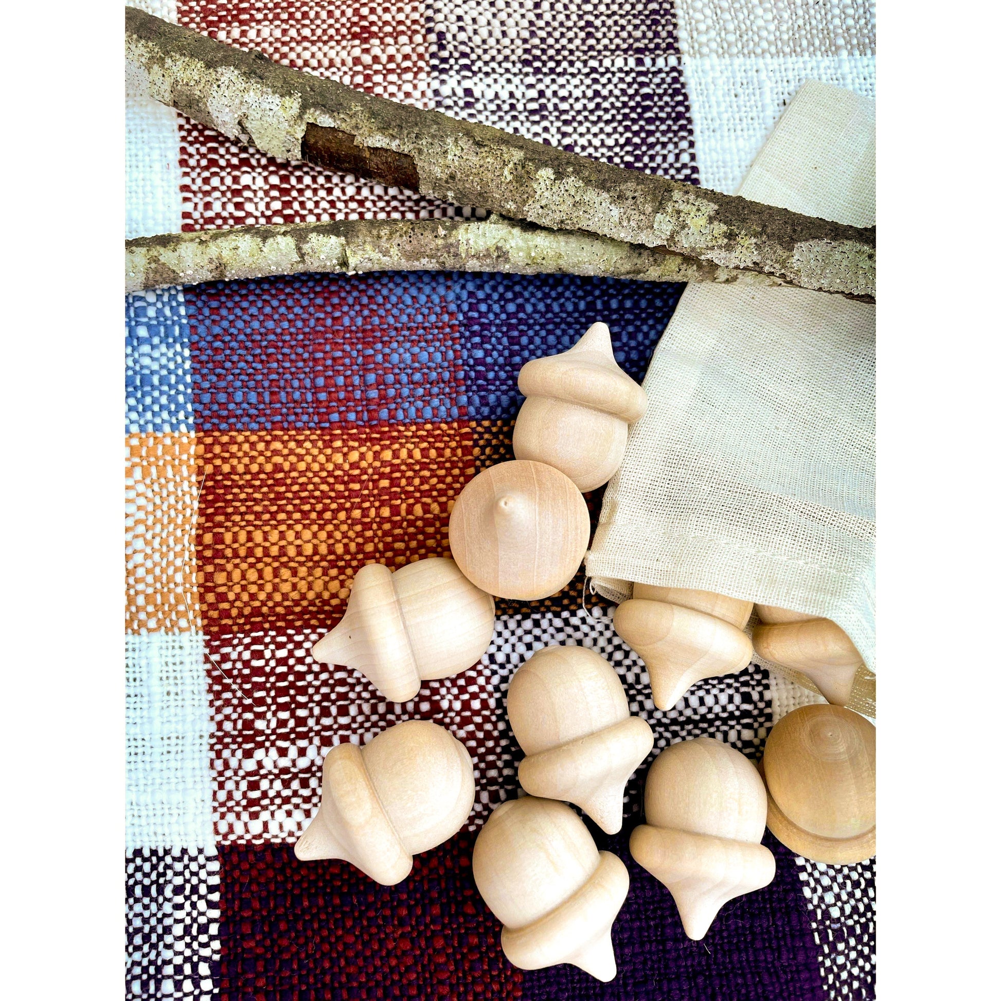 Wooden Acorn Toys or Decor - Sensory Bin or Counting & Sorting - Alder & Alouette