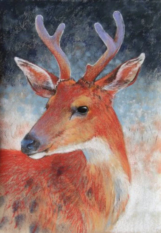 Deer | Loes Botman Art Card