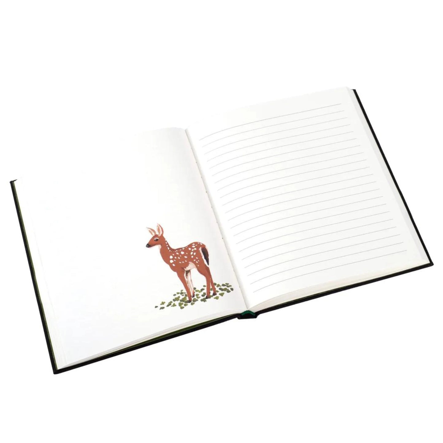 Woodland Journal with Woodland Illustrations - Alder & Alouette