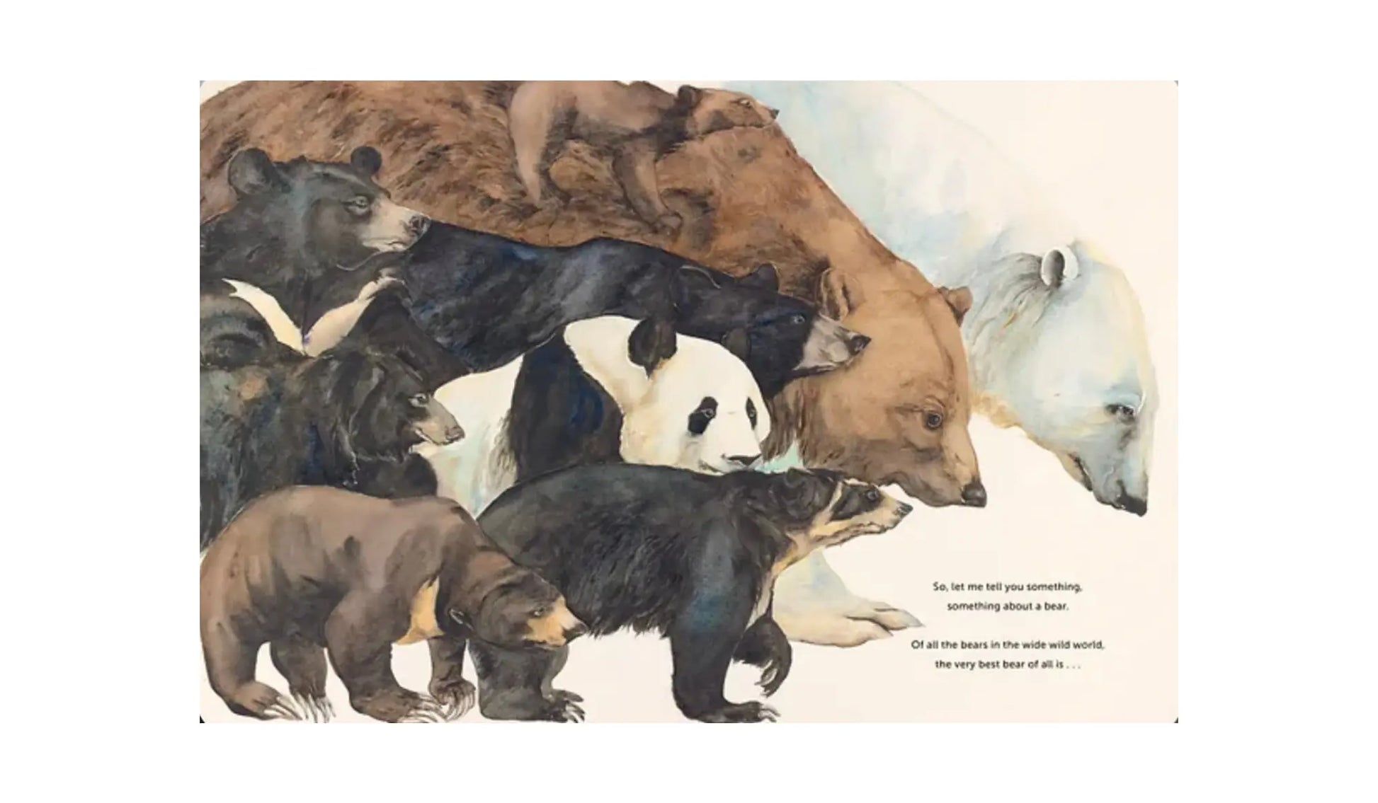 Something About A Bear, Jackie Morris | Beautiful! - Alder & Alouette