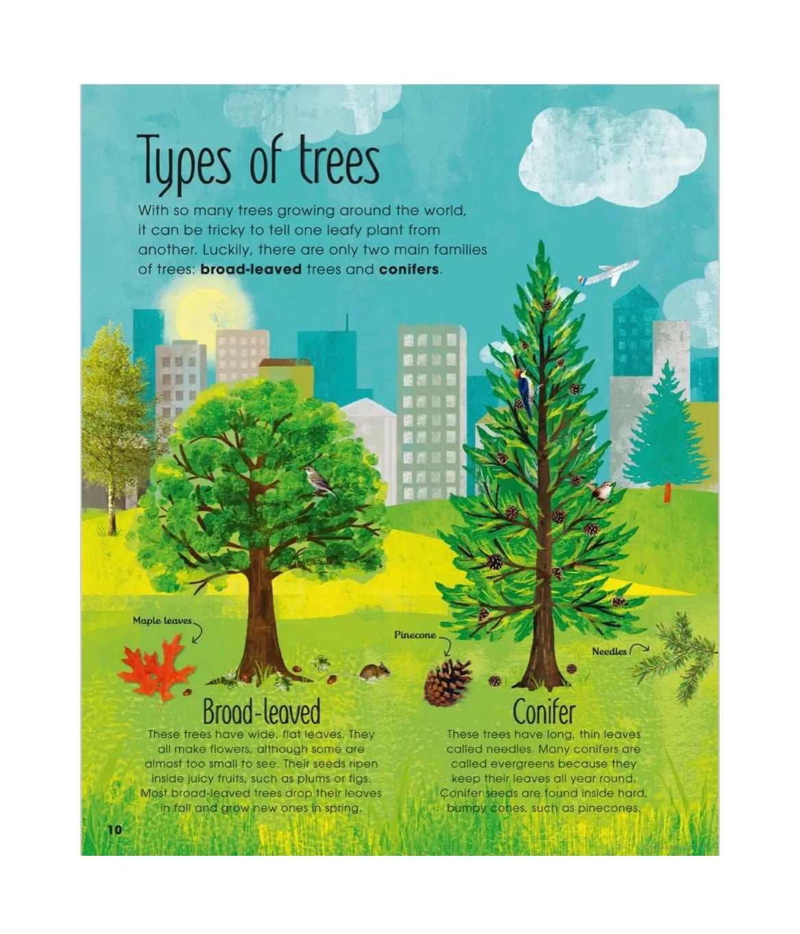 The Magic and Mystery of Trees - A Natural Science Book for Kids - Alder & Alouette