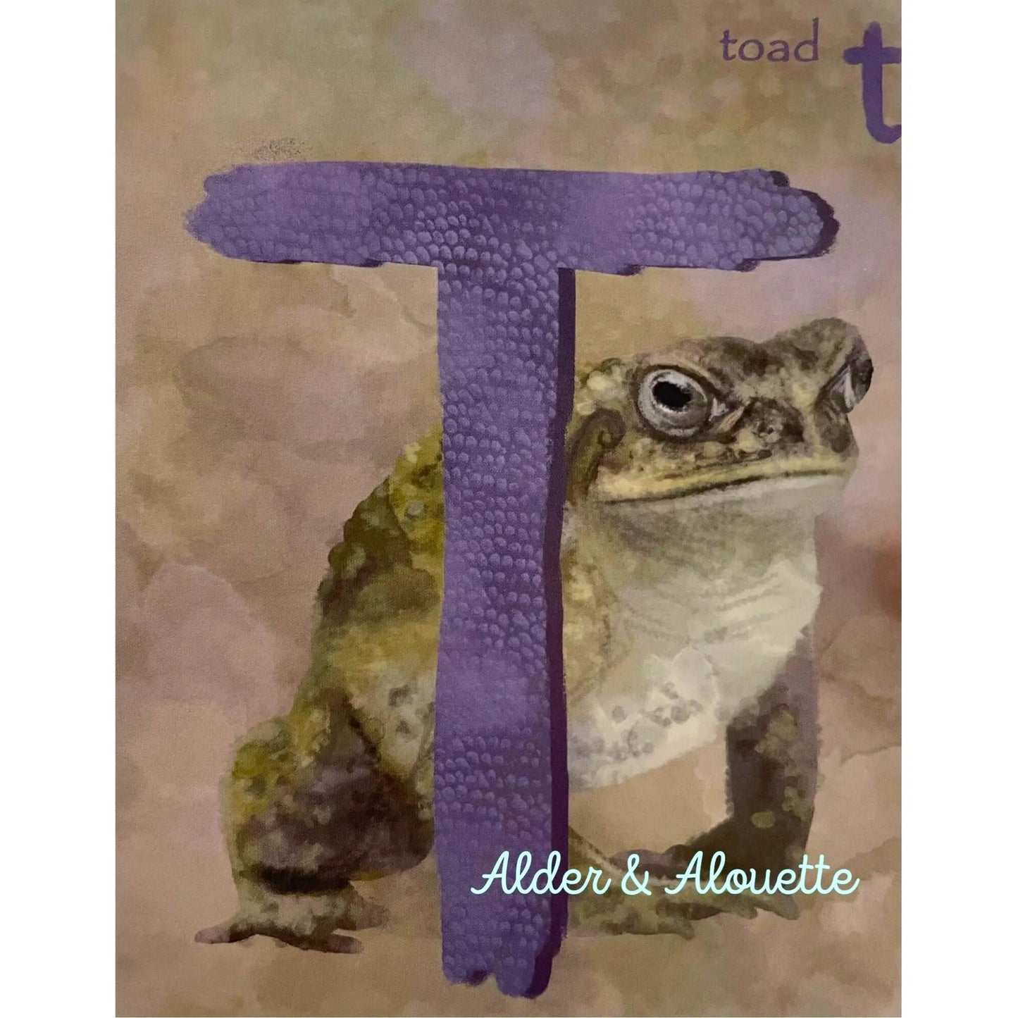 Alphabet Cards original art work - Alder & Alouette