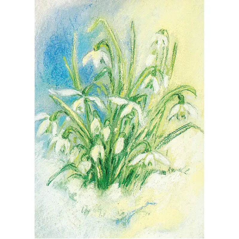 Marjan van Zeyl Postcards - Snow Drops  - Alder & Alouette