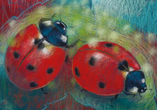 Art Postcard by Loes Botman - Red Ladybugs - Alder & Alouette