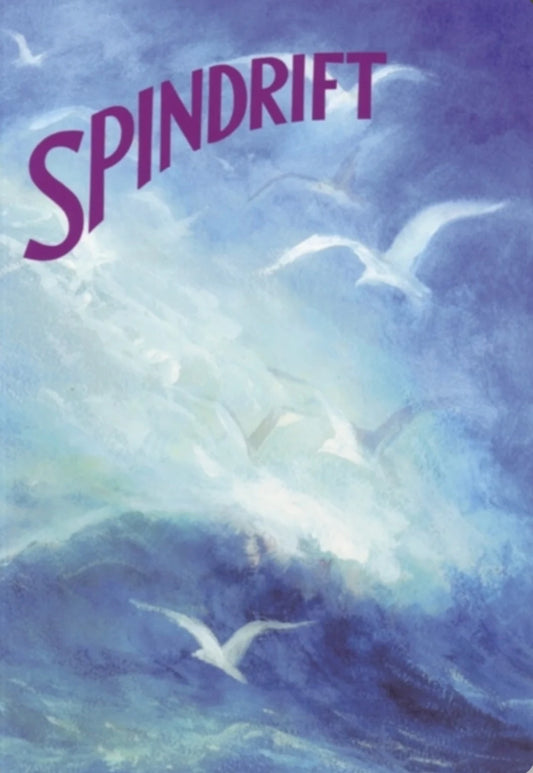 Waldorf Kindergarten Spindrift: A Collection of Poems, Songs, and Stories for Young Children - Alder & Alouette