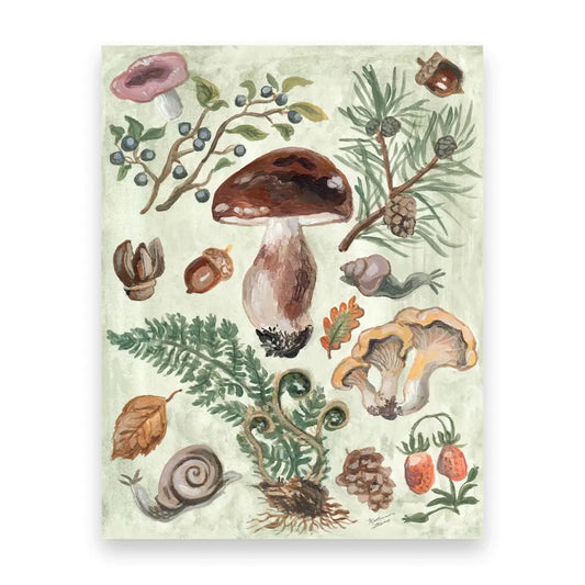 Mushroom Forest Postcard – A Whimsical Woodland