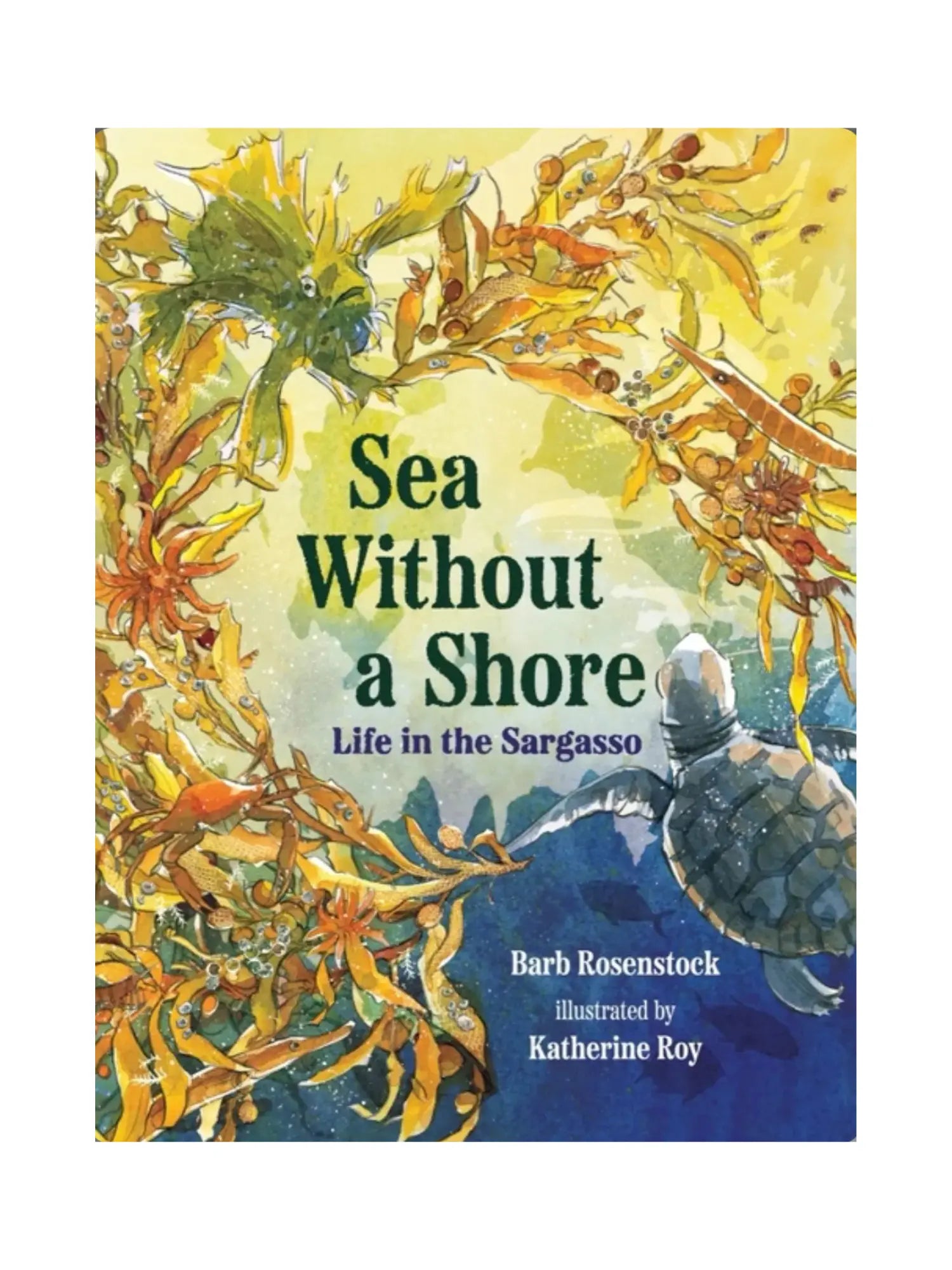 Sea Without a Shore by Barb Rosenstock - Alder & Alouette