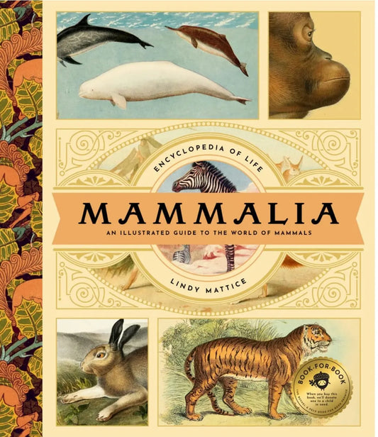 Mammalia - An Illustrated Guide to the World of Mammals - Alder & Alouette