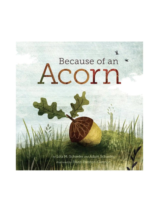 Because of an Acorn by Lola Schaefer, Adam Schaefer and Fran Preston-Gannon