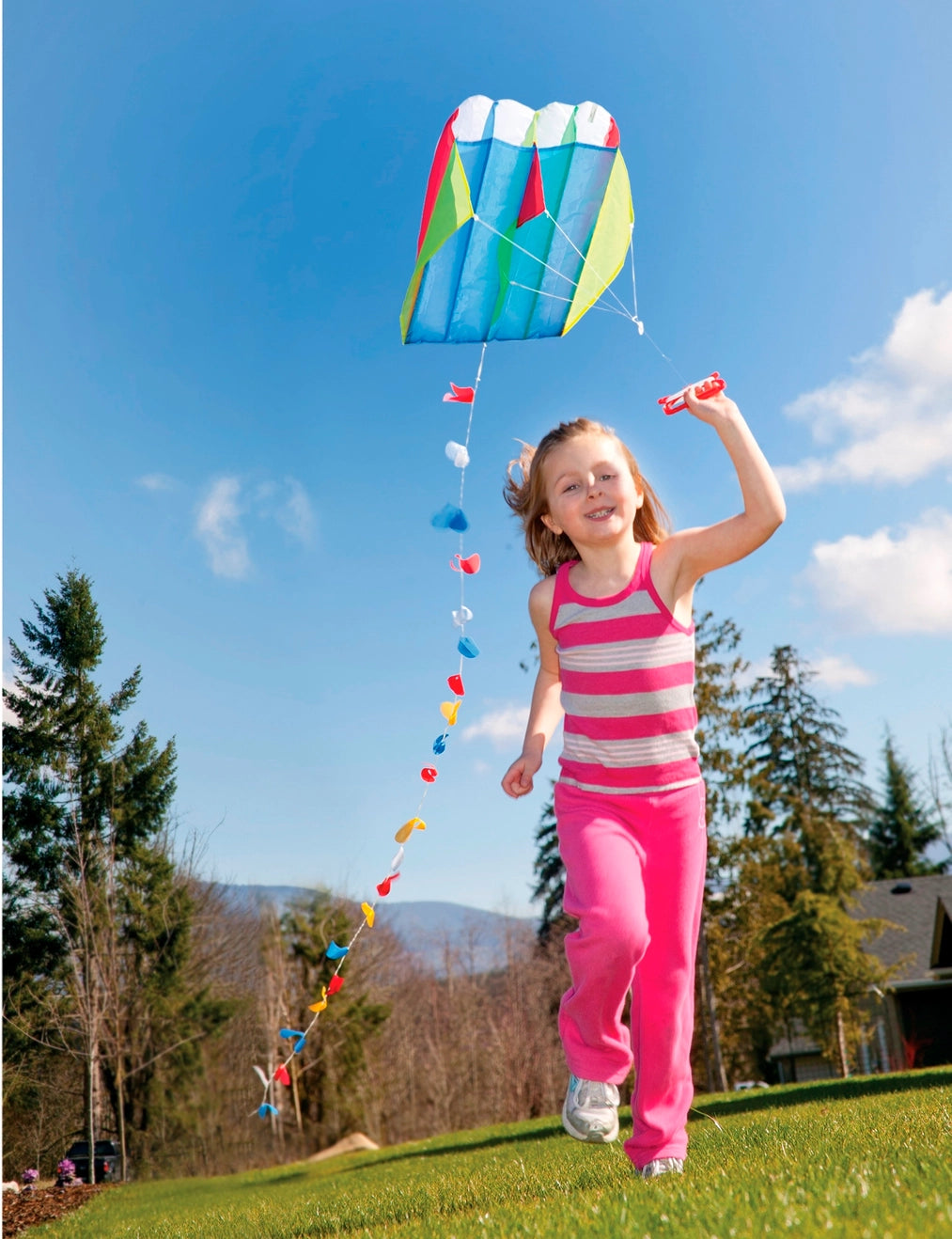 Parafoil Kite - Kid Sized!