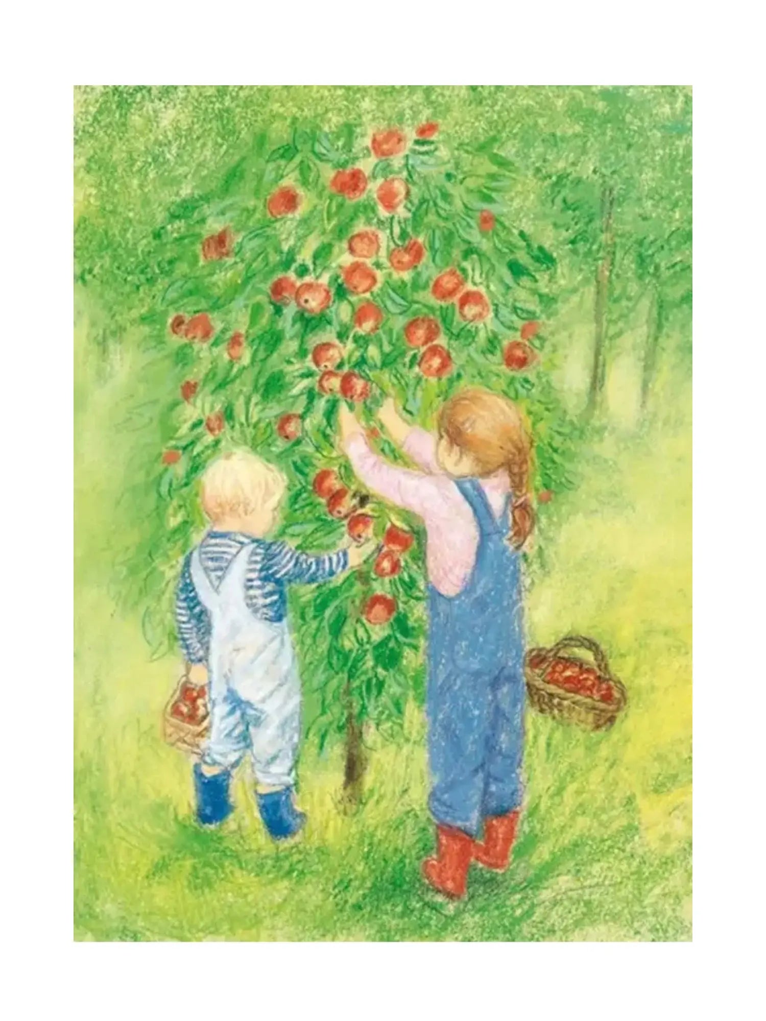 Marjan van Zeyl Postcards - Apple Harvest - Alder & Alouette