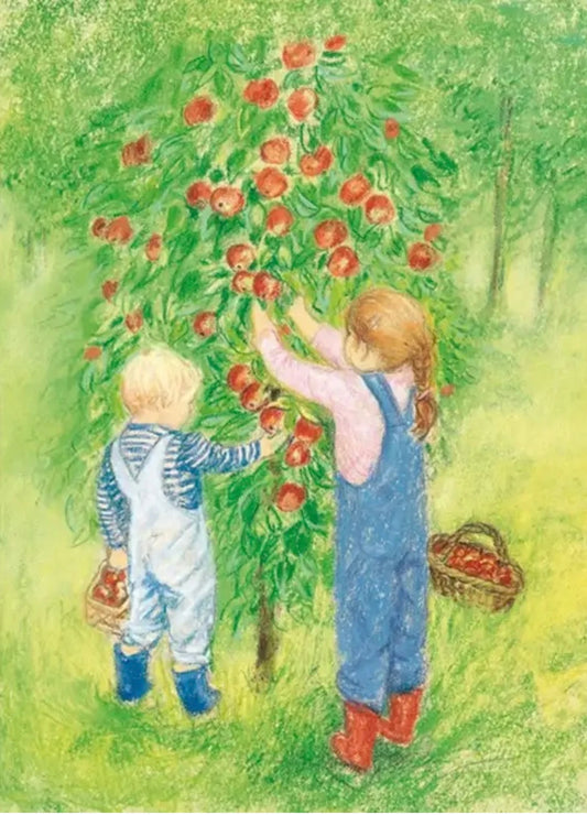 Marjan van Zeyl Postcards - Apple Harvest - Alder & Alouette