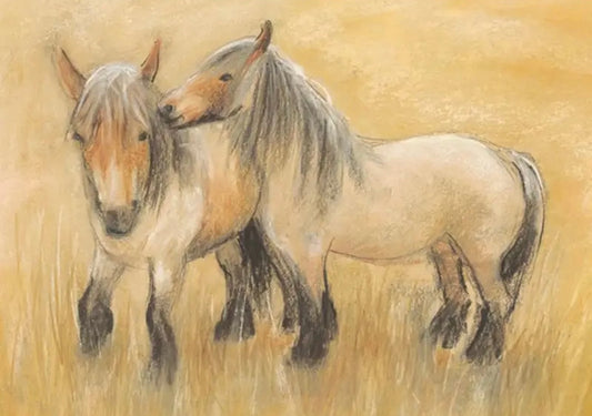 Marjan van Zeyl Postcards, Belgian Horses - Alder & Alouette